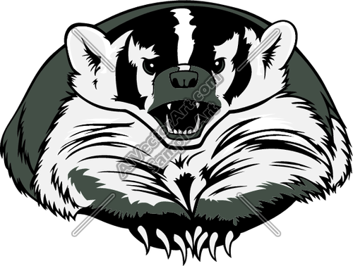 Badger Vector Illustration 500x378 Badger Vector Illustration
