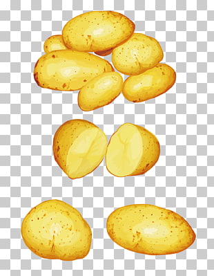 310x399 Potato Vector Png Cliparts For Free Download Uihere