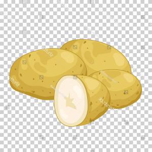300x300 Potato Isolated On Transparent Background Catchsplace