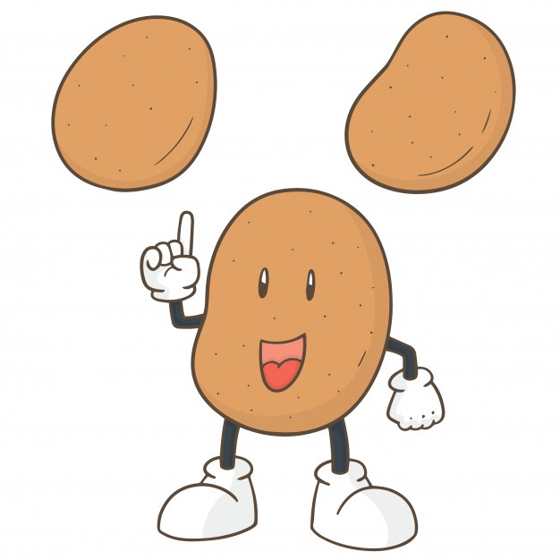 626x626 Potato Vectors, Photos And Free Download