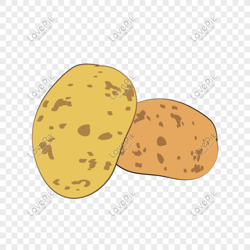 860x860 Vegetable Variety Potato Vector Png Image Picture Free Download