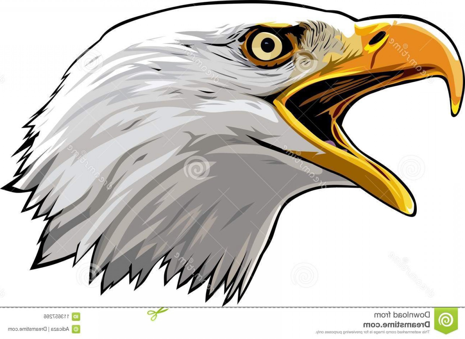 1560x1140 Eagle Head Vector Hoodamathrun