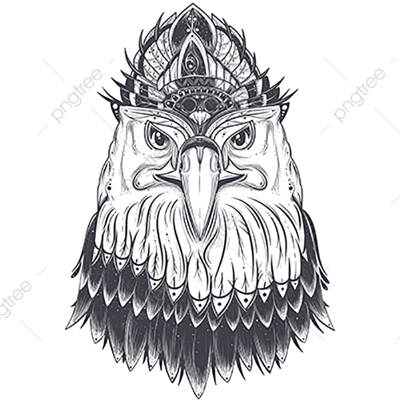800x800 Eagle Head With Feather Comb, Bald, Eagle, Bird Png And Vector