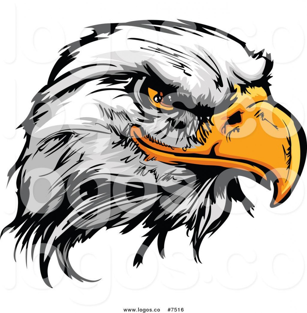1228x1252 Hd Royalty Free Clip Art Vector Logo Of Fierce Bald Eagle Head