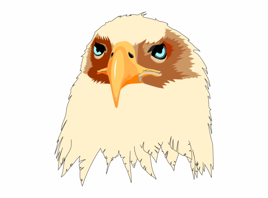 920x679 How To Set Use Tan Feathered Eagle Head Vector