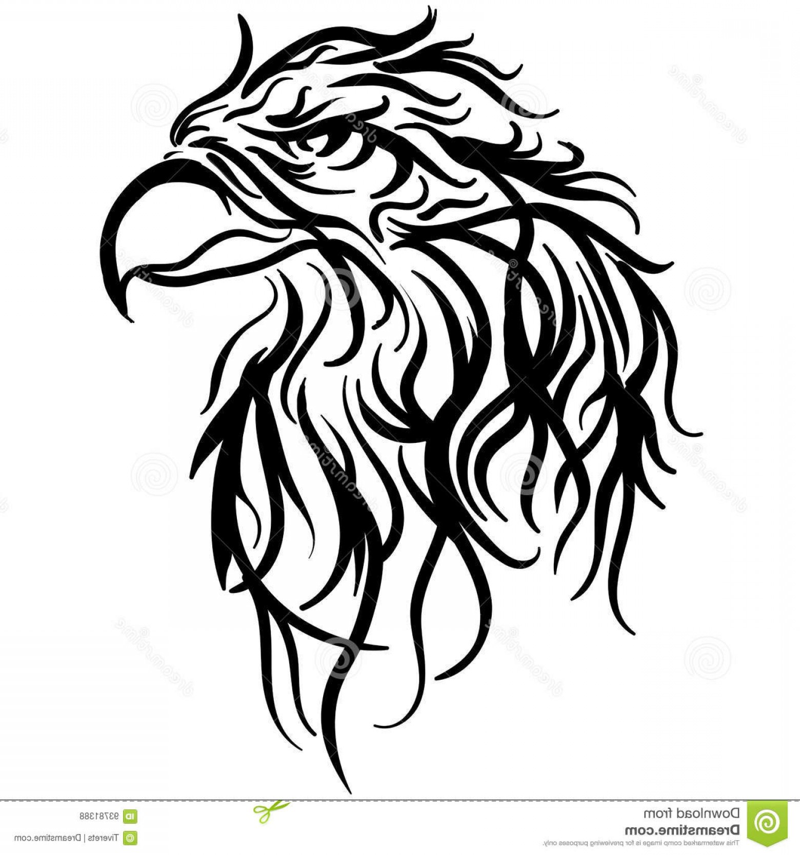 1560x1668 Stock Illustration Bald Eagle Head Vector Illustration Sketch