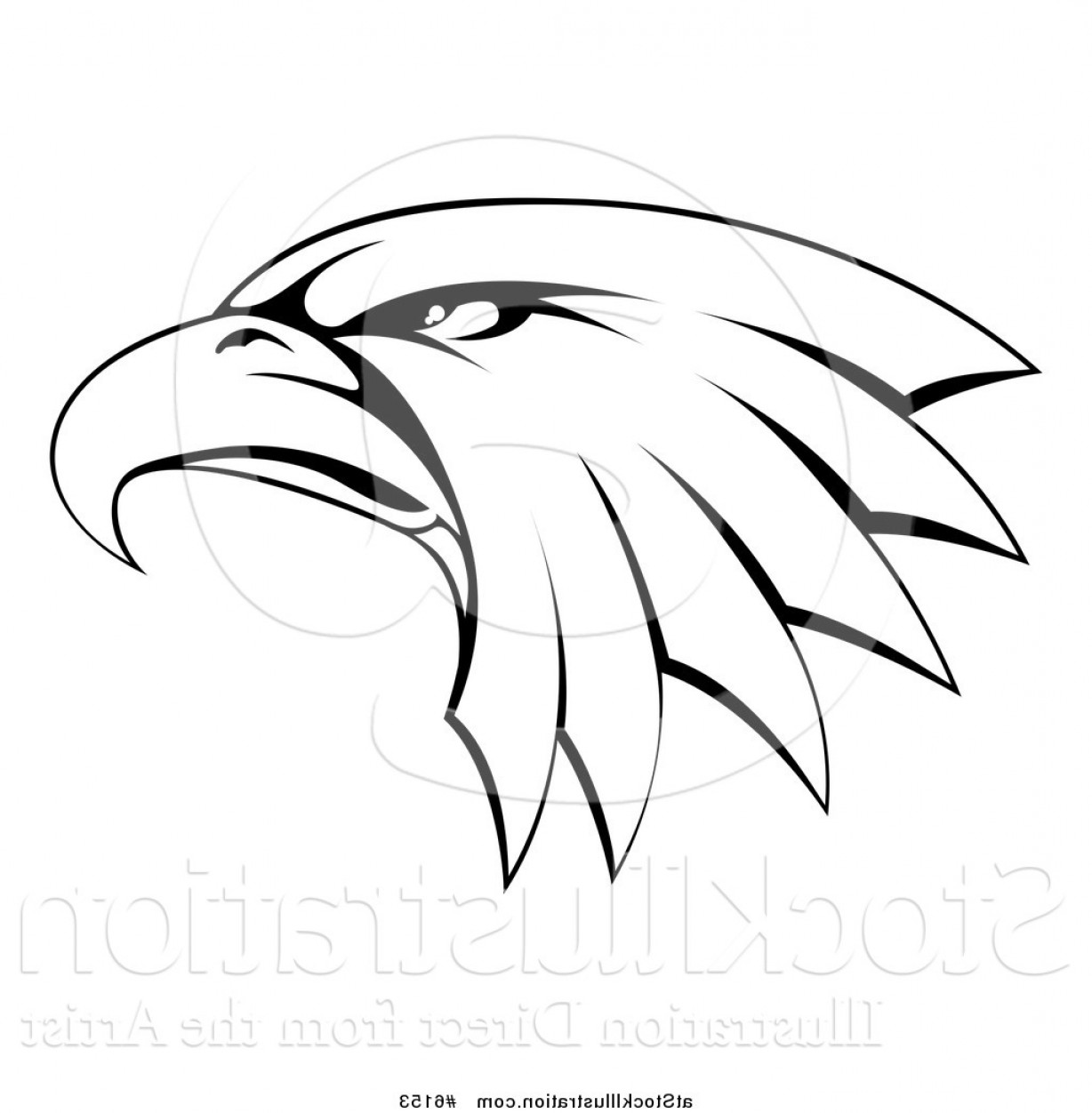 1228x1252 Vector Illustration Of A Black And White Bald Eagle Head