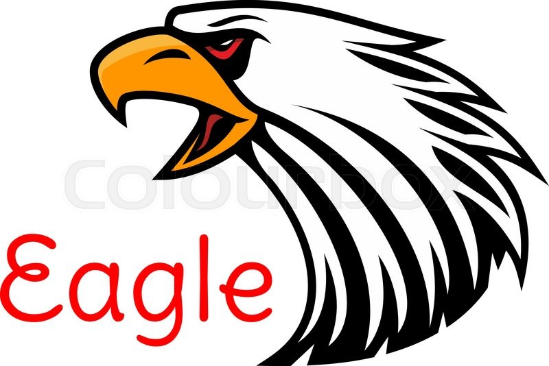 800x534 Bald Eagle Head Vector Emblem Crying Stock Vector Colourbox