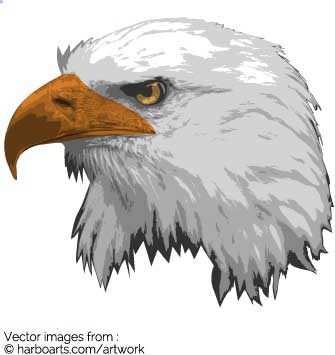 Bald Eagle Head Vector at Vectorified.com | Collection of Bald Eagle ...