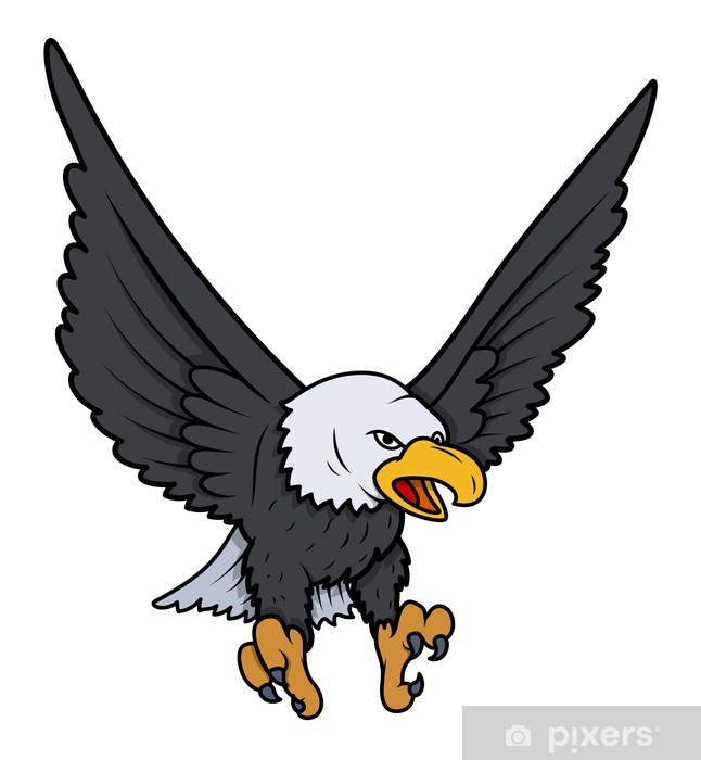 646x700 Bald Eagle Vector Illustration Wall Mural We Live