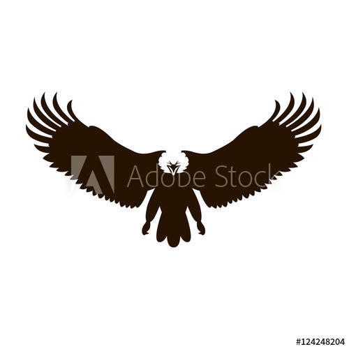 500x500 Bald Eagle Vector Illustration Black Silhouette