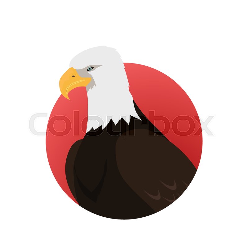 800x800 Bald Eagle Vector Predatory Birds Stock Vector Colourbox