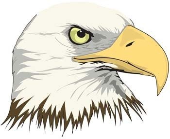 350x288 Eagle Vector Clip Arts, Free Clip Art