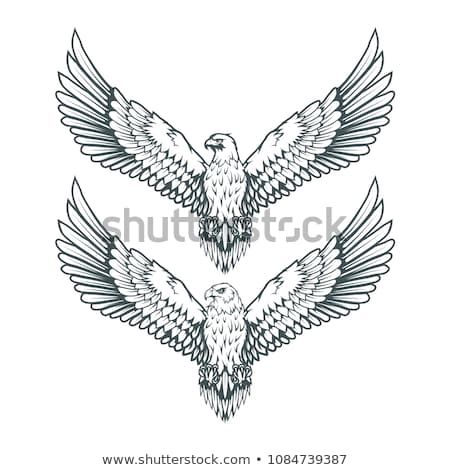 450x470 Set Of Eagles Bald Eagle Logo Wild Birds Drawing Head