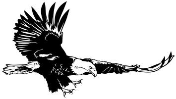 355x200 Bald Eagle Free Vector Art