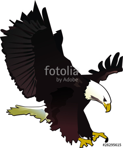 417x500 Bald Eagle Vector Illustration Stock Image And Royalty Free