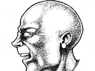 310x233 Bald Head Free Illustration Free Vector Free Vectors Ui Download