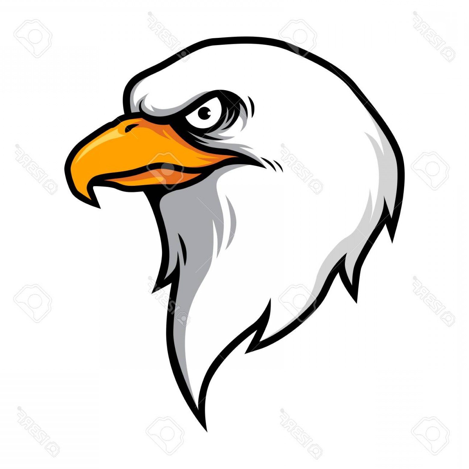 1560x1560 Photostock Vector American Eagle Head Vector Hoodamathrun