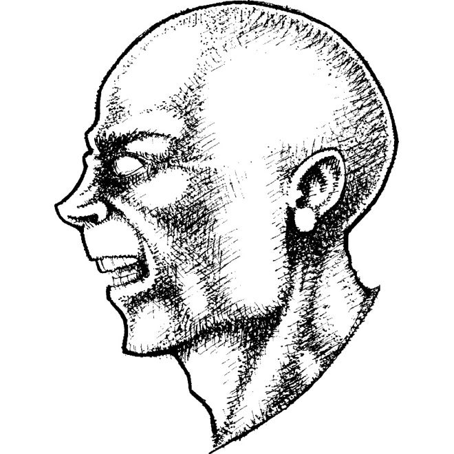 660x660 Bald Head Free Illustration Free Vector