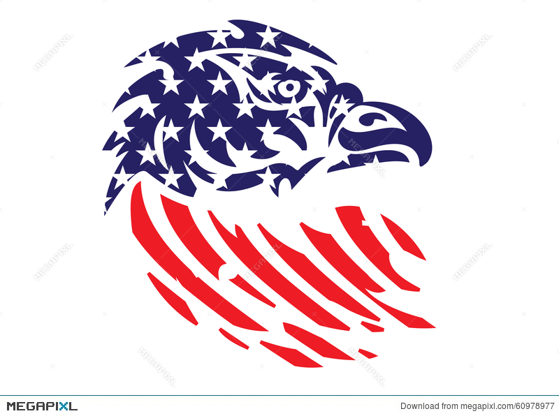 800x596 Usa Flag Patriotic Eagle Bald Hawk Head Vector Object Illustration