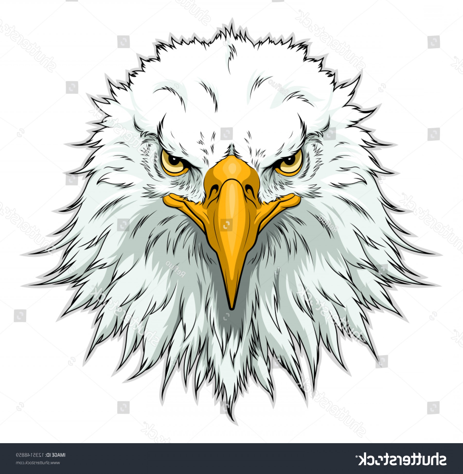 1800x1844 Vector Illustration American Bald Eagle Head Hoodamathrun