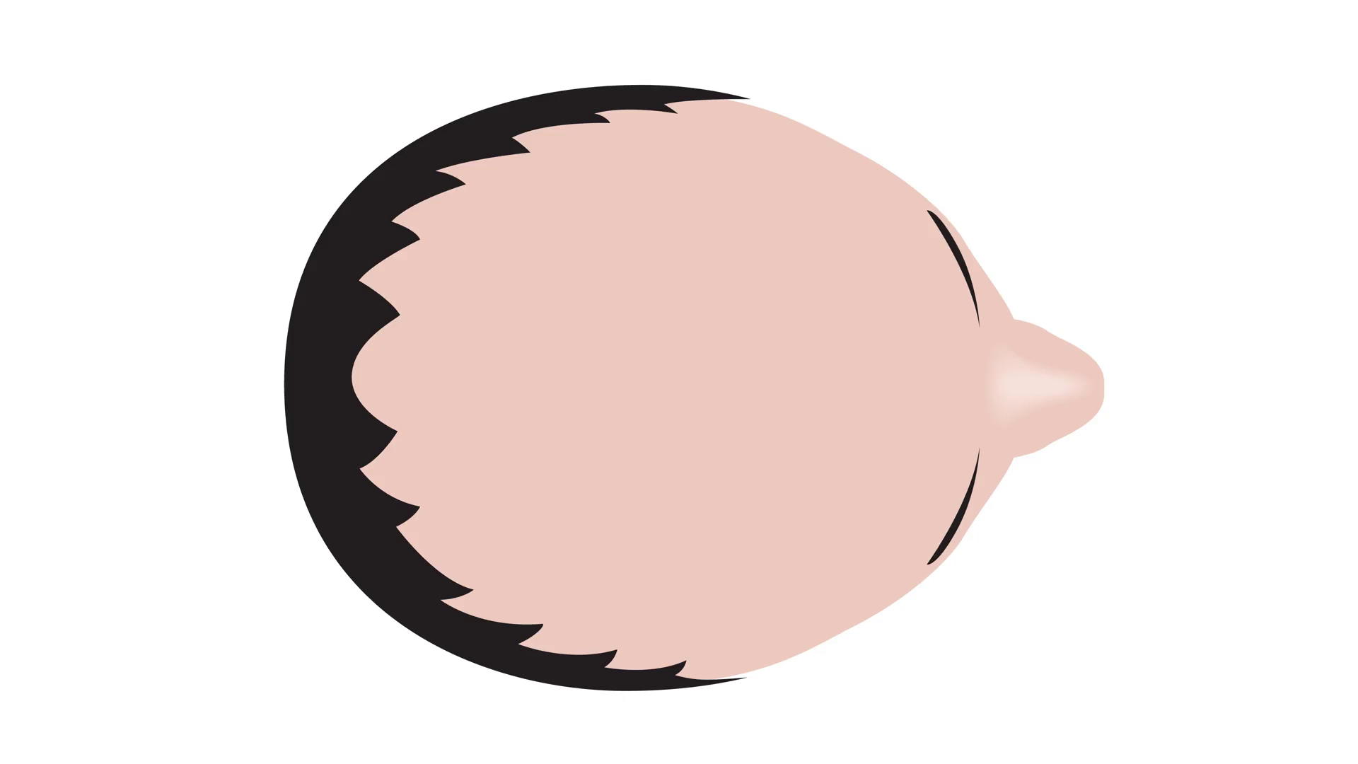 1920x1080 Type Of Baldness Bald Head Vector No Hair Motion Background