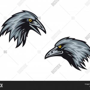 300x300 Png Baltimore Ravens Season Baltimore Ravens Catchsplace