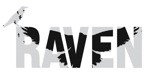 Search Photos Baltimore Ravens 499x240 Search Photos Baltimore Ravens