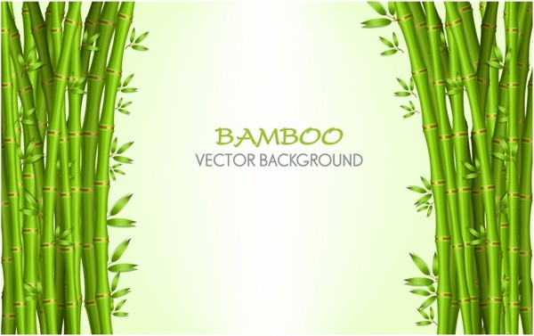 Bamboo Background Free Vector In Adobe Illustrator 600x377 Bamboo Background Free Vector In Adobe Illustrator