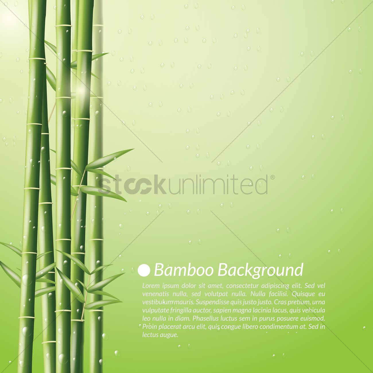 Bamboo Background Vector Image 1300x1300 Bamboo Background Vector Image