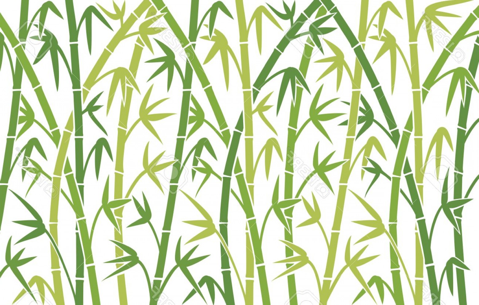 Photostock Vector Vector Background With Green Bamboo Stems 1560x993 Photostock Vector Vector Background With Green Bamboo Stems
