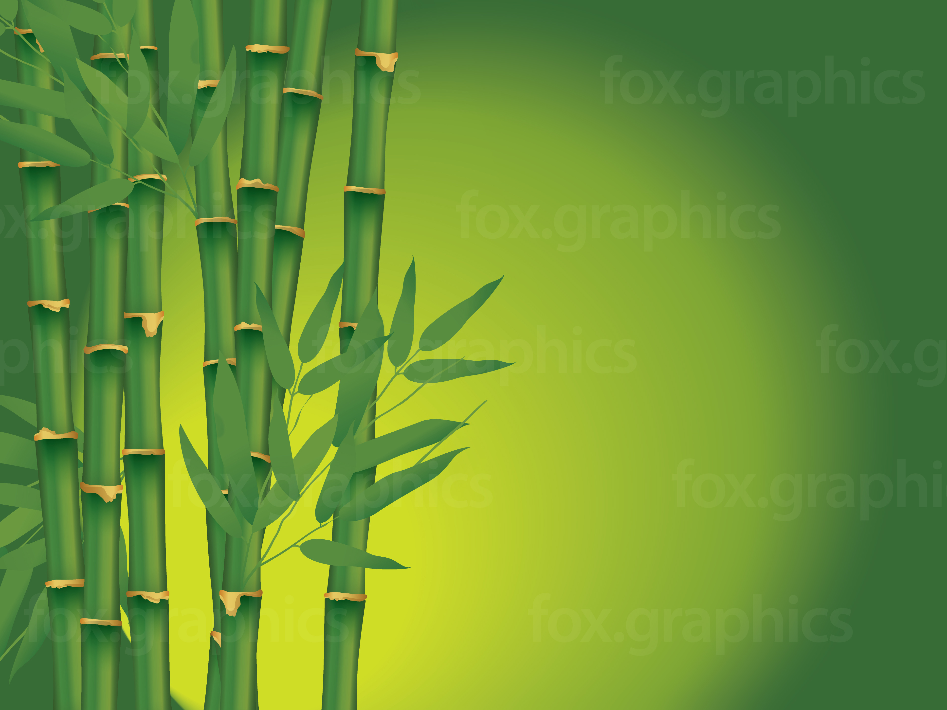 Vector Bamboo Background 3840x2880 Vector Bamboo Background