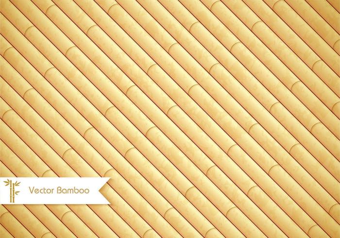 Bamboo Background Vector 700x490 Bamboo Background Vector