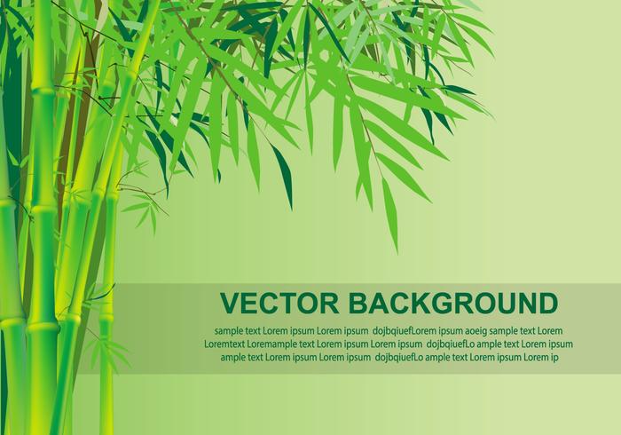 Bamboo Free Vector Art 700x490 Bamboo Free Vector Art