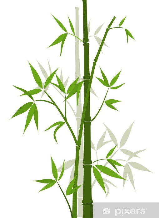 Bamboo Background, Vector Wall Mural We Live To Change 509x700 Bamboo Background, Vector Wall Mural We Live To Change