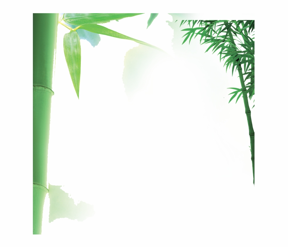 920x789 Bamboo Vector Border