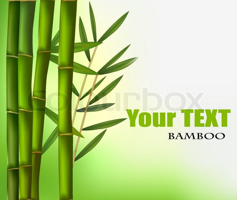 800x677 Beautiful Bamboo Border Vector Stock Vector Colourbox
