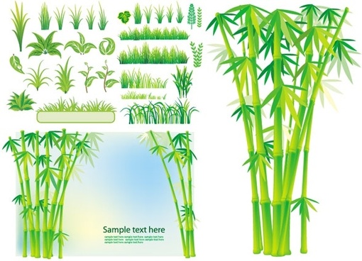510x368 Free Vector Bamboo Border Free Vector Download