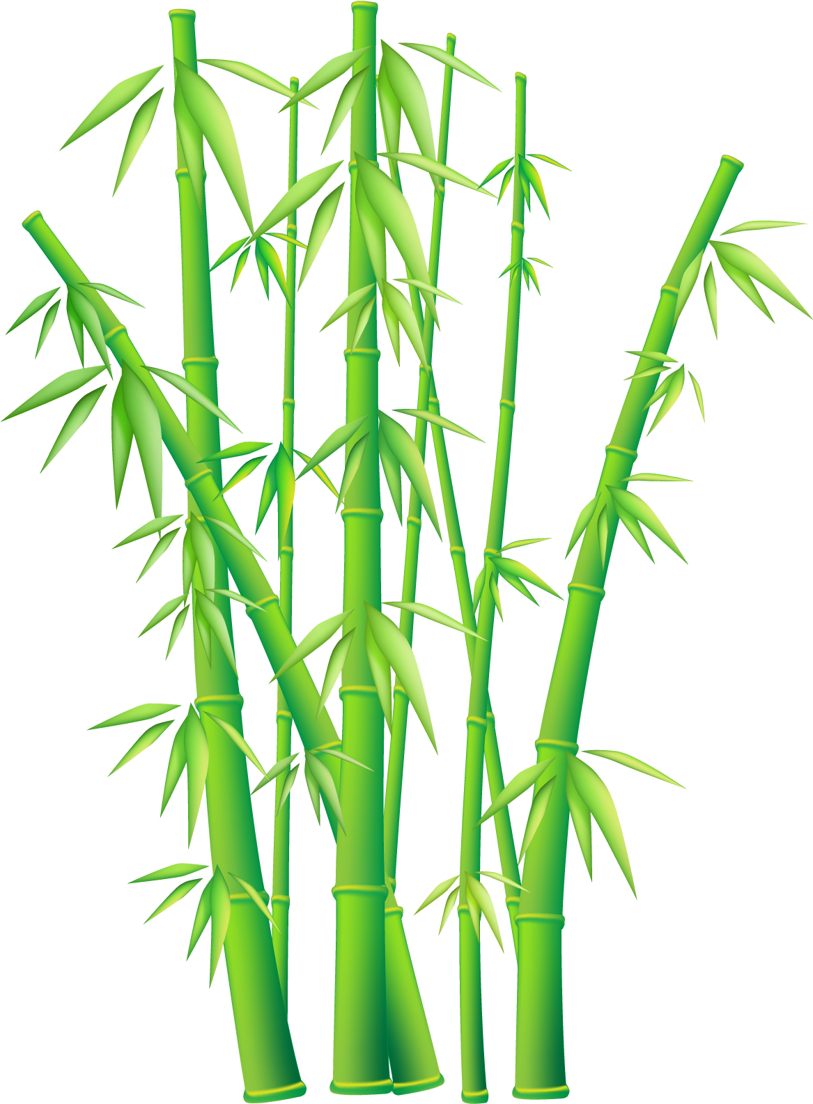 1167x1585 Green Grass Border Clipart Free Image