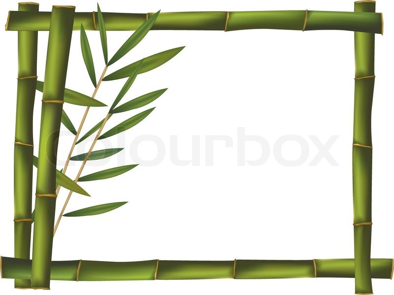 800x599 Green Bamboo Frame Made Of Stems Stock Vector Colourbox