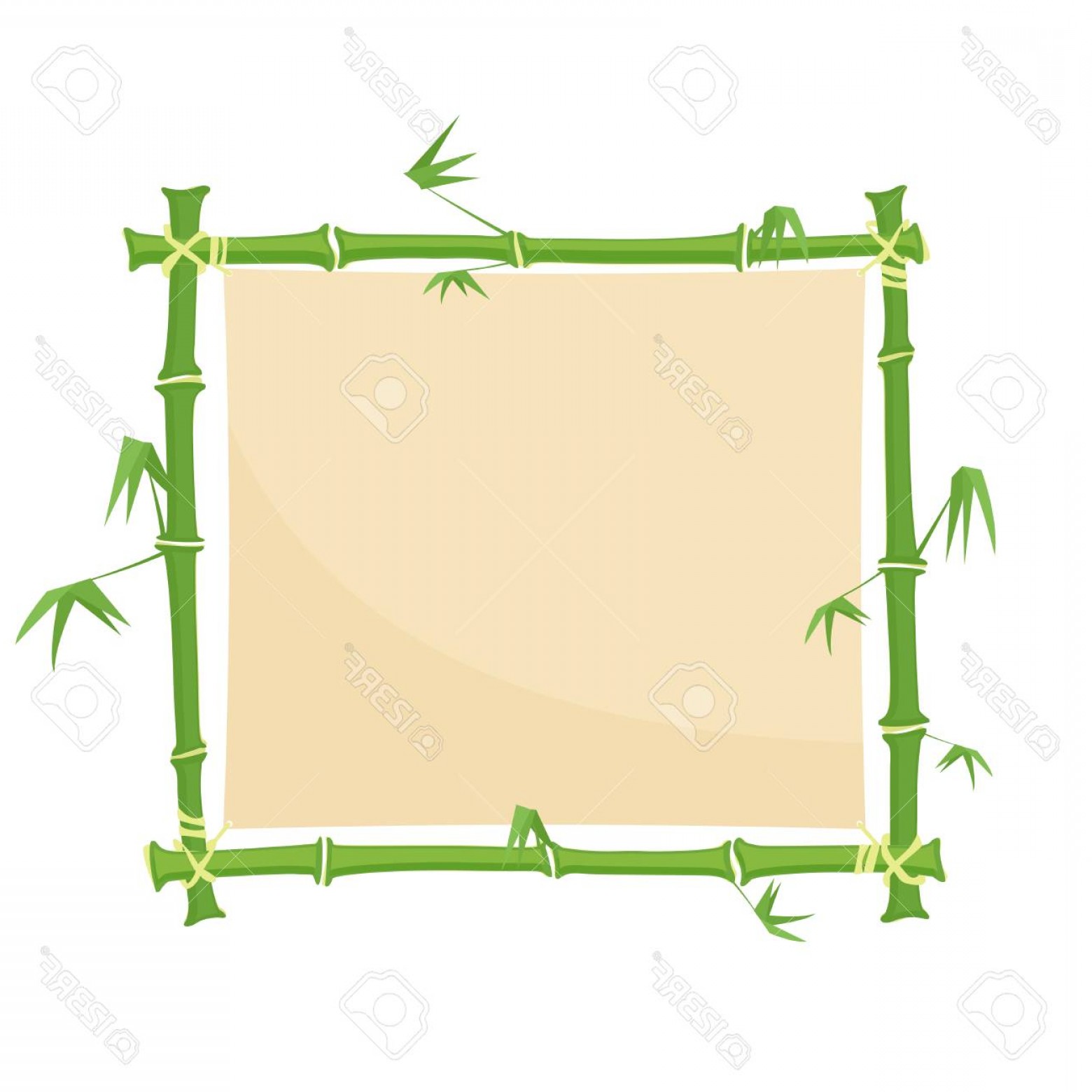 1560x1560 Photostock Vector Green Bamboo Border Square Bamboo Frame