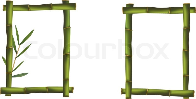 Green Bamboo Frames Vector Stock Vector Colourbox 800x405 Green Bamboo Frames Vector Stock Vector Colourbox