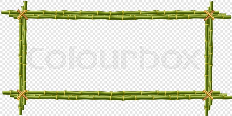 Green Bamboo Steam Frame Isolated On Stock Vector Colourbox 800x402 Green Bamboo Steam Frame Isolated On Stock Vector Colourbox