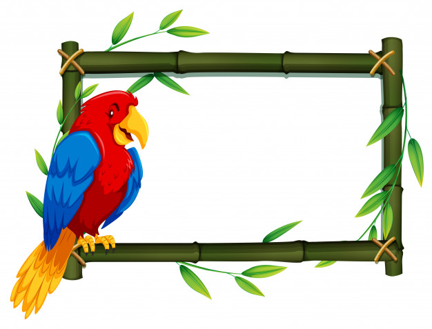 Parrot On Bamboo Frame Vector Free Download 626x477 Parrot On Bamboo Frame Vector Free Download