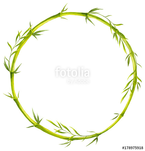 Bamboo Frame Made Of Stems Watercolor Stock Image And Royalty 483x500 Bamboo Frame Made Of Stems Watercolor Stock Image And Royalty