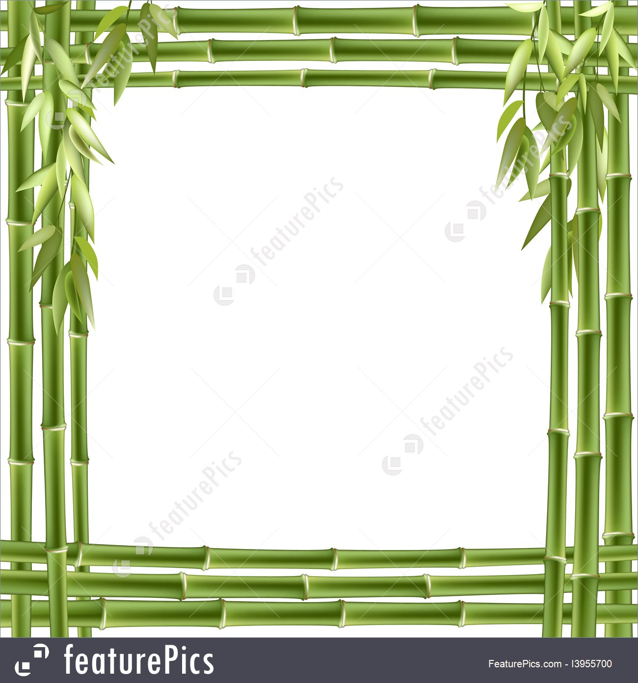 Bamboo Frame Vector Background 1300x1392 Bamboo Frame Vector Background