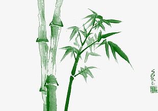 310x219 Bamboo Leaves Vector Png Images, Bamboo Leaves Vector Clipart Free