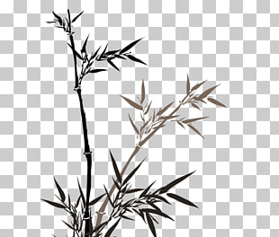 310x264 Bamboo Leaves Vector Png Cliparts For Free Download Uihere