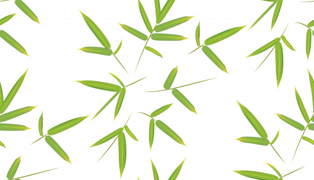 626x360 Green Bamboo Leaves Vector Premium Download
