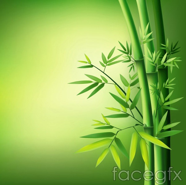 600x595 Green Leaves Of Bamboo Vector Over Millions Vectors, Stock